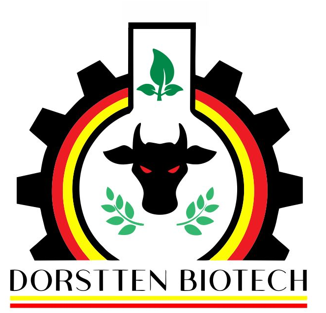 DORSTTEN BIOTECH